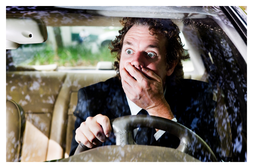 Auto Insurance