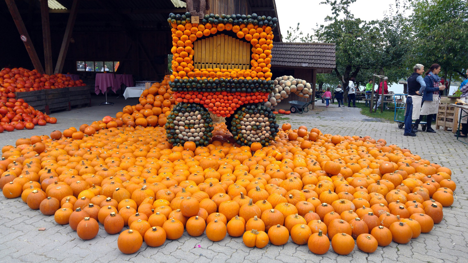 How to Have a Successful Fall Festival